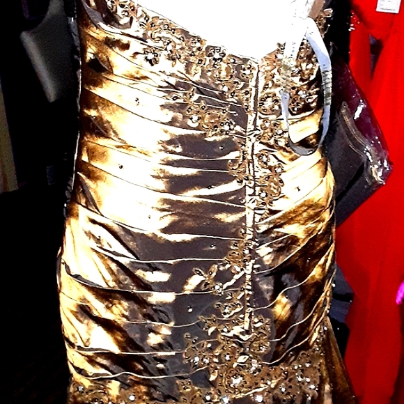 Rina DiMontella Silk Gown - Picture 7 of 10